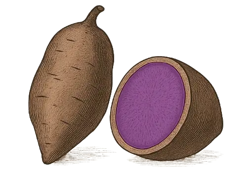 Image Ube